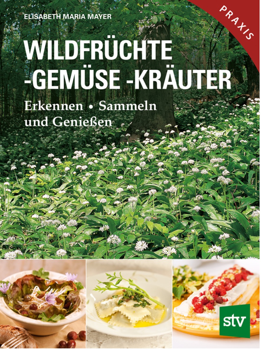 Elisabeth Mayer Buch Wildfrüchte