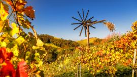 Südsteirischer Herbstgenuss