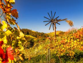 Herbststimmung